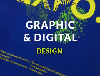 Graphic & Digital Design